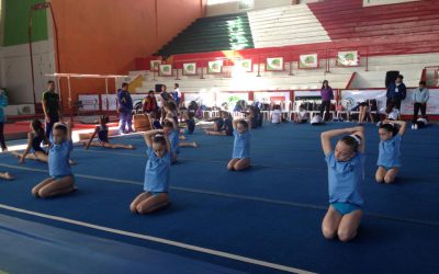 PROBLEMÁTICO TORNEO SUDAMERICANO DE GIMNASÍA ARTÍSTICA