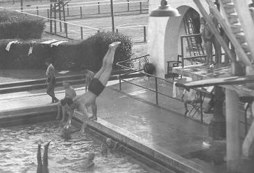 LORENZO JUSTINIANO RODRÍGUEZ: Campeón de Saltos Ornamentales