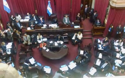 El Senado aprobó el proyecto de Ley del Deporte y de Asignación Universal