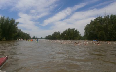 San Pedro: Campeonato de Aguas Abiertas de la Temporada 2015/16 — «El Reencuentro de los Delfines».