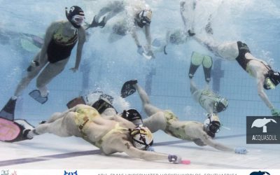 Mendoza: Anfibios se trajo dos copas del Nacional del hockey subacuático