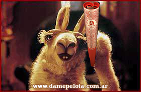 20160704La llama que llama