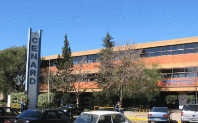 NEGOCIOS & NEGOCIOS: El futuro del Cenard, otro foco de conflicto para la Ciudad