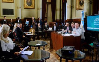 Carlos Mac Allister disertó en el Senado de la Nación