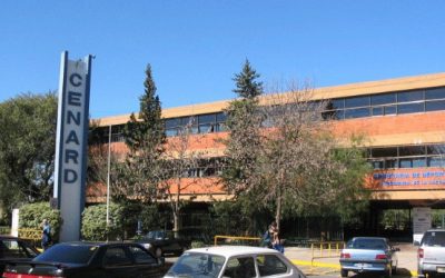 Ultima temporada de caza — Por Gustavo Veiga