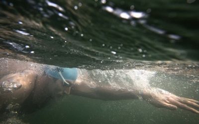 Doping en el deporte: argentino Un nadador argentino fue suspendido provisionalmente por doping positivo