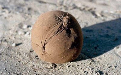 Concurso fotográfico “Pelota de Trapo”