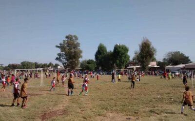 Carta abierta al Director de Deporte Municipal de la Ciudad de Santa Fe sobre la conformación del Consejo Municipal del Deporte.