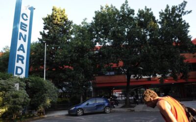 El Gobierno despidió a 32 trabajadores del CeNaRD y denuncian: «Se está cayendo a pedazos, casi no hay empleados»