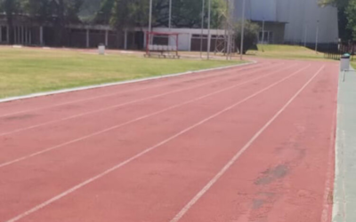 Políticas deportivas: El discreto encanto del silencio